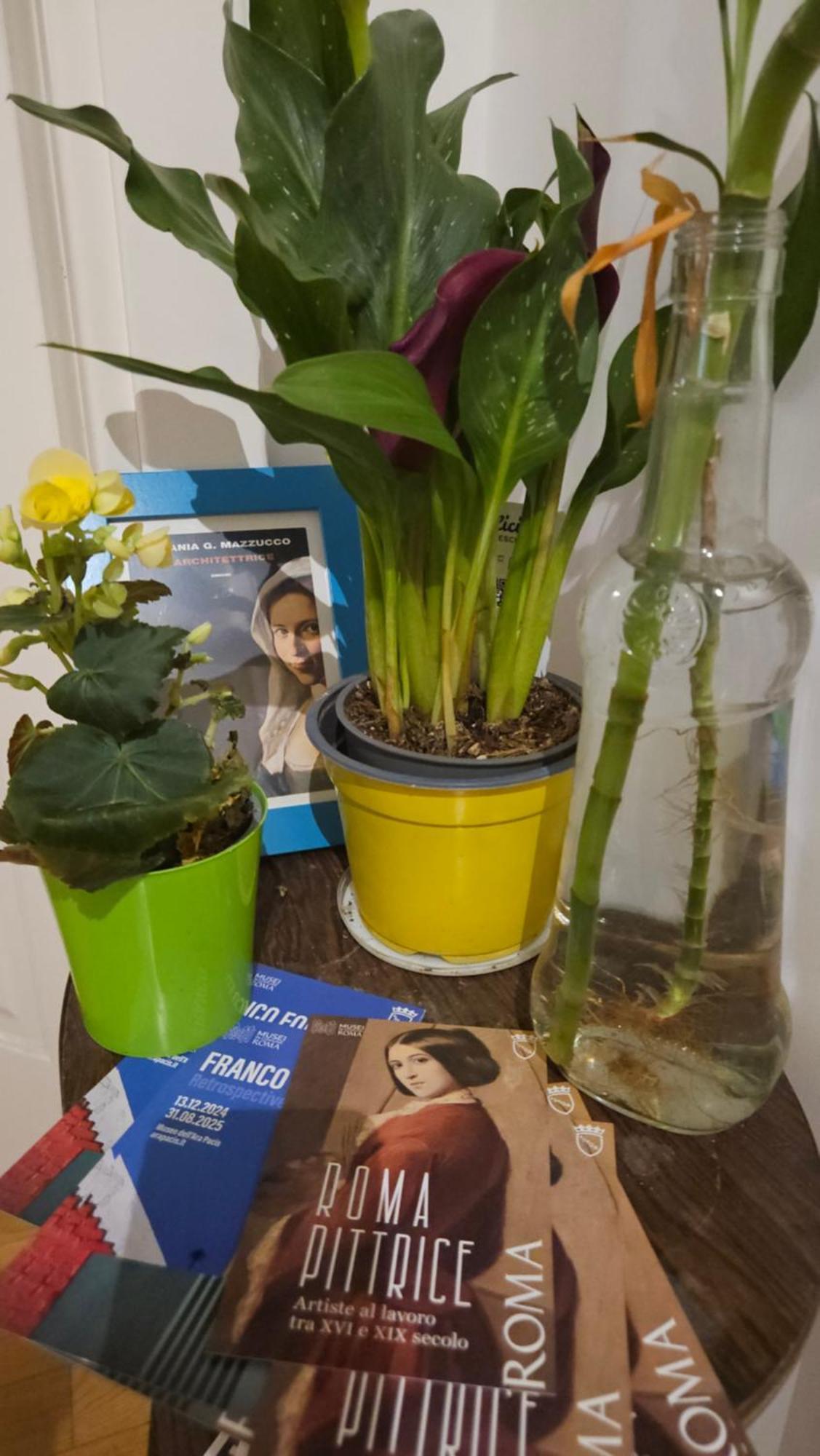 Ulysses In Rome Bed & Breakfast Luaran gambar